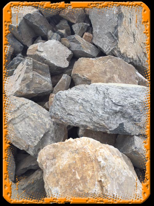 Are Petrified Rocks Worth Anything at Marlene Sprankle blog